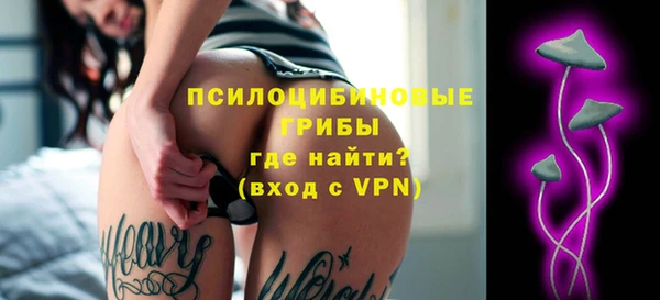 ешки Инсар