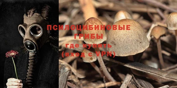 ешки Инсар