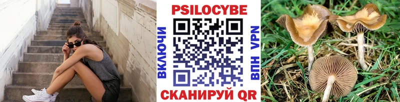 ОМГ ОМГ рабочий сайт  Хадыженск  Галлюциногенные грибы Psilocybe 