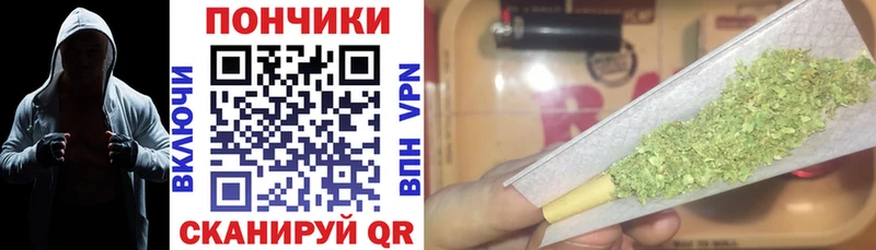 Бошки марихуана сатива  как найти закладки  Хадыженск 